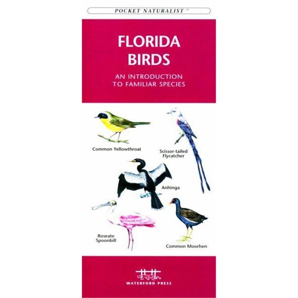 Waterford Press Waterford Press WFP1583551059 Florida Birds Book: An Introduction to Familiar Species (State Nature Guides) WFP1583551059